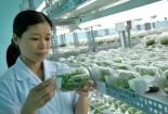 TP.HCM đầu tư hơn 4.500 tỉ đồng cho khoa học công nghệ